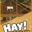Hay! One Billion! cover art