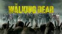 Discovery splash banner for We are The Walking Dead Discord server