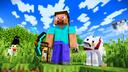 Discovery splash banner for 🐕 Minecraft Patas & Blocos ⛏ #5k • Construindo histórias lado a lado Discord server