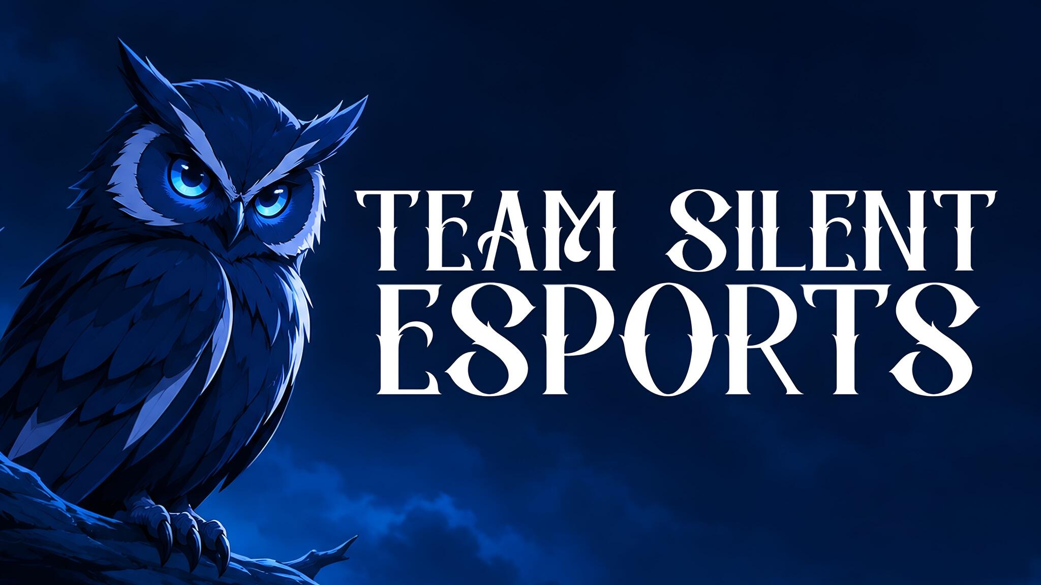 Discovery splash banner for TEAM SILENT ESPORTS Discord server