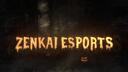 Discovery splash banner for ZENKAI - ESPORTS Discord server