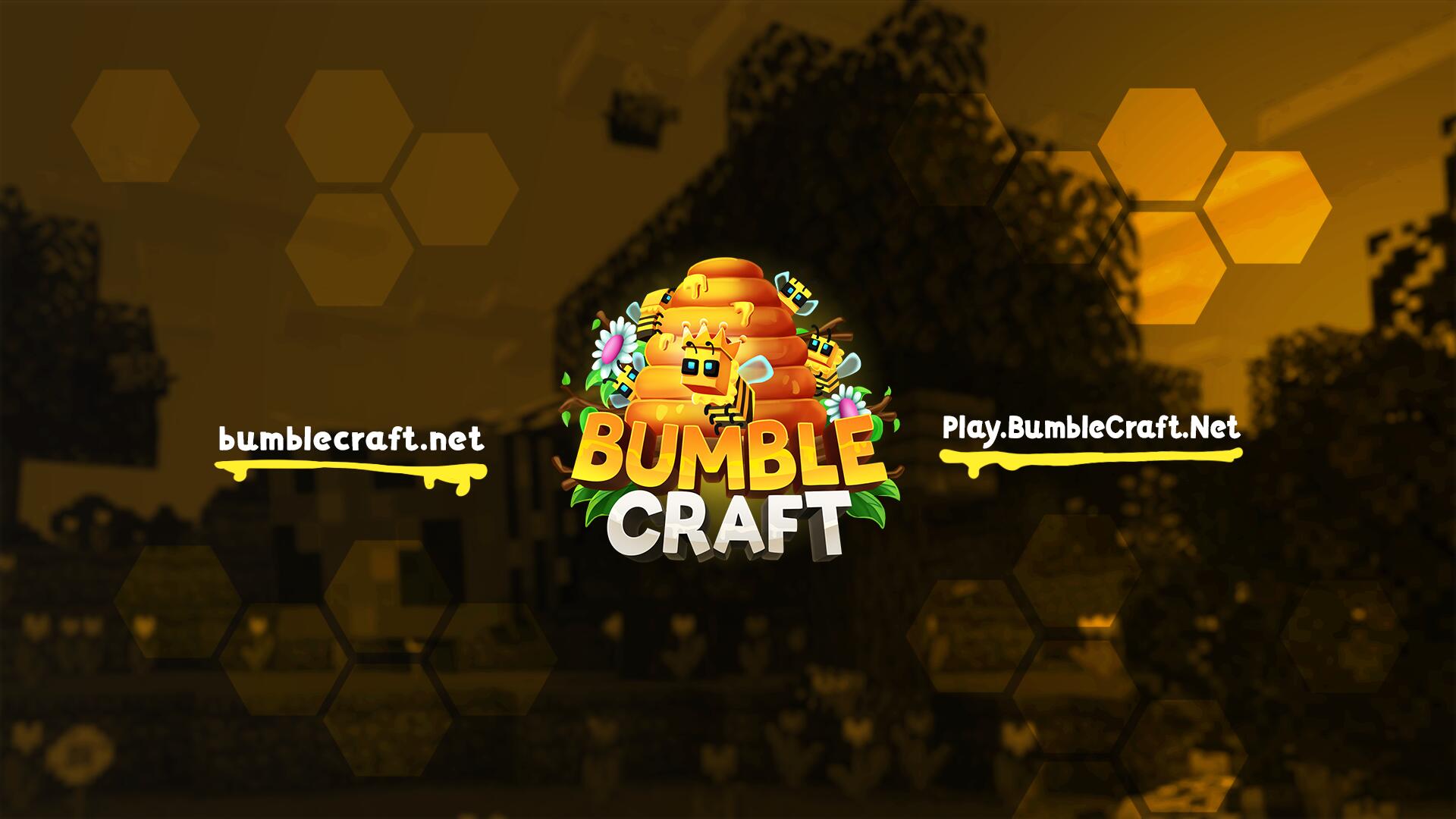Discovery splash banner for BumbleCraft | StellarNetwork Discord server