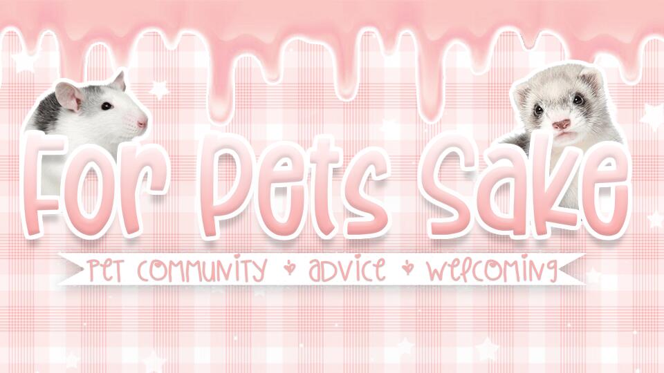 Discovery splash banner for ʚ For Pets Sake ɞ Discord server