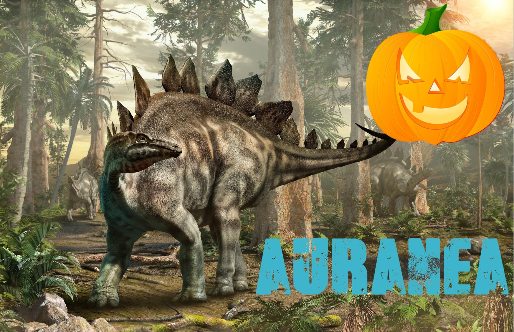 Discovery splash banner for Auranea Discord server