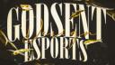 Discovery splash banner for Godsent Esports™ Discord server