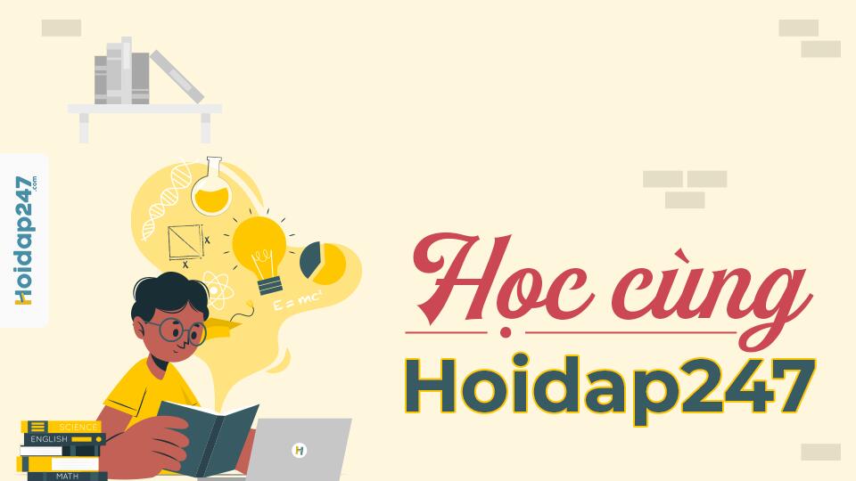 Discovery splash banner for Hoidap247 Official Discord server