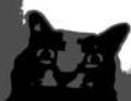 Discovery splash banner for spooky people club Discord server
