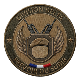 Discovery icon for Division Delta BRM5 (FR) Discord server