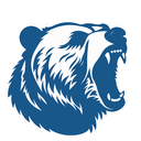 Discovery icon for Arctic Discord server