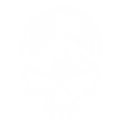 Discovery icon for King of the Hill - FiveM Discord server